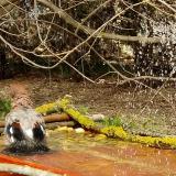 photo 2021-03-30 13-26-30 szajko