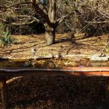 photo 2021-10-25 14-26-17