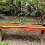 photo 2021-04-19 12-59-00