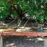 photo 2021-09-06 15-51-07