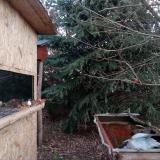 photo 2022-01-01 07-39-42