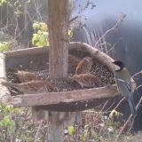 photo 2019-12-18 08-24-27