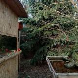 photo 2022-01-02 14-12-52