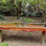 photo 2021-04-19 12-59-14