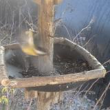 photo 2019-12-30 12-13-54