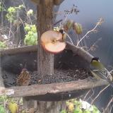 photo 2019-12-05 11-37-07