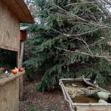 photo 2021-12-18 14-05-44