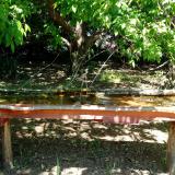 photo 2021-05-10 12-05-46