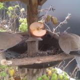 photo 2019-12-04 14-40-56