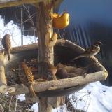 photo 2019-01-31 14-48-35