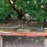 photo 2021-09-07 15-10-00