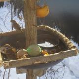 photo 2019-01-27 09-20-18