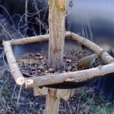 photo 2019-01-03 11-20-44