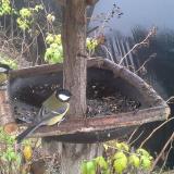 photo 2019-12-14 11-14-01