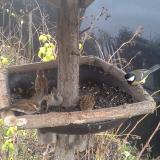 photo 2019-12-22 14-05-08