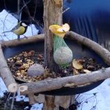 photo 2019-01-14 12-17-46