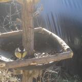 photo 2019-02-18 09-50-53