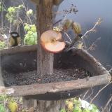 photo 2019-12-05 11-37-01