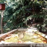 photo 2023-10-04 15-00-43