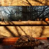 photo 2022-01-24 09-13-41