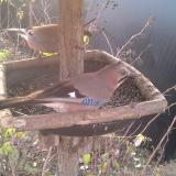 photo 2019-12-19 08-43-14