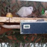 photo 2021-02-13 07-20-49