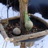 photo 2019-01-11 13-22-59