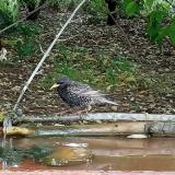 photo 2021-05-15 13-53-43 seregely