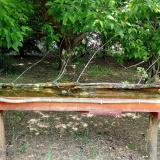 photo 2021-05-12 12-10-10