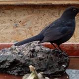 photo 2022-01-31 12-13-59 rigo