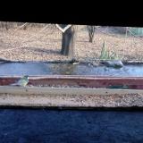 photo 2021-12-04 14-11-13