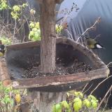 photo 2019-12-14 11-53-35