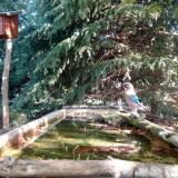 photo 2023-10-03 10-45-14