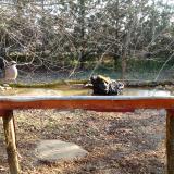 photo 2021-03-11 08-00-08