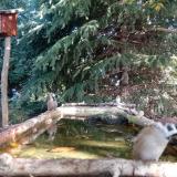 photo 2023-10-12 10-13-19