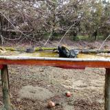 photo 2021-03-15 08-58-19