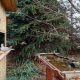 photo 2021-11-18 09-35-55