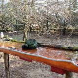 photo 2021-03-26 07-38-56