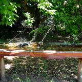 photo 2021-05-21 09-11-46