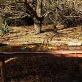 photo 2021-10-25 14-27-12