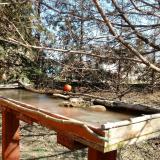 photo 2022-03-11 11-15-38