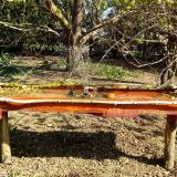 photo 2021-04-10 09-35-29