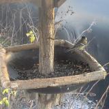 photo 2019-12-26 14-17-09