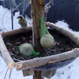 photo 2019-01-11 08-25-00