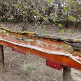 photo 2021-04-06 15-30-52