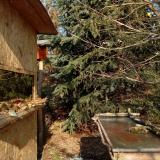 photo 2022-01-10 12-40-06