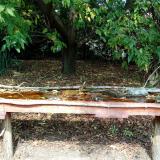 photo 2021-10-02 12-40-53