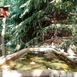 photo 2023-10-11 12-45-44