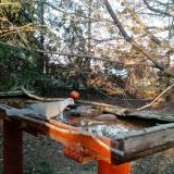 photo 2022-03-19 16-37-24