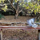 photo 2021-10-21 08-21-44